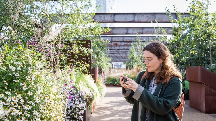 A woman taking a picture of plants and flowers in the gardens of Castlefield Viaduct, Manchester