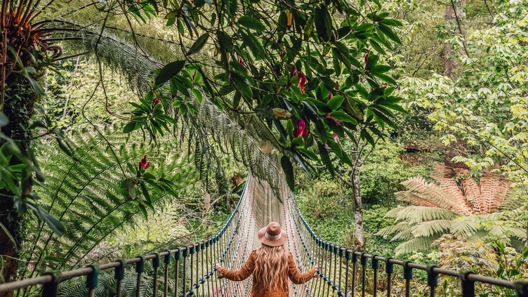 Young woman walking across a rope bridge surrounded by trees