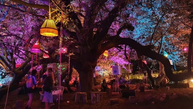 People standing under tree at night lit up by lanterns